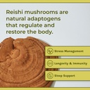 naturealm-reishi-mushroom-powder-supplem-3.jpg
