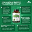 zazzee-extra-strength-wild-lettuce-101-e-5.jpg