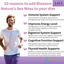 10-in-1-irish-sea-moss-gummies-3000mg-wi-5.jpg