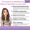 10-in-1-irish-sea-moss-gummies-3000mg-wi-6.jpg