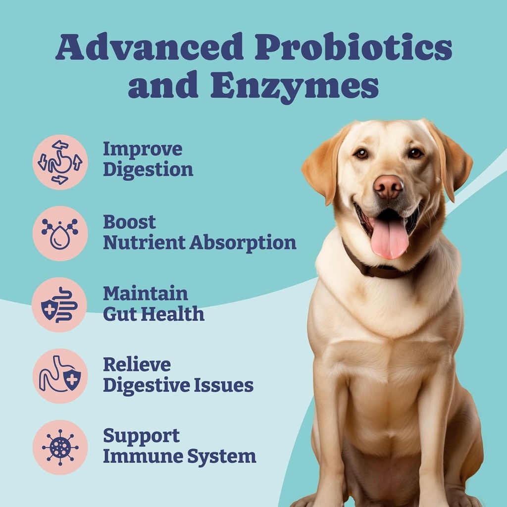 probiotics-for-dogs-dog-digestive-enzyme-2.jpg