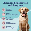 probiotics-for-dogs-dog-digestive-enzyme-2.jpg