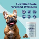 probiotics-for-dogs-dog-digestive-enzyme-4.jpg