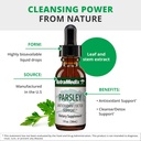 nutramedix-parsley-herbal-supplement---p-4.jpg
