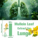 mullein-drops-for-lungs-with-licorice-ma-5.jpg