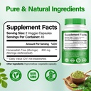 moringa-capsules-800mg-pure-moringa-powd-2.jpg