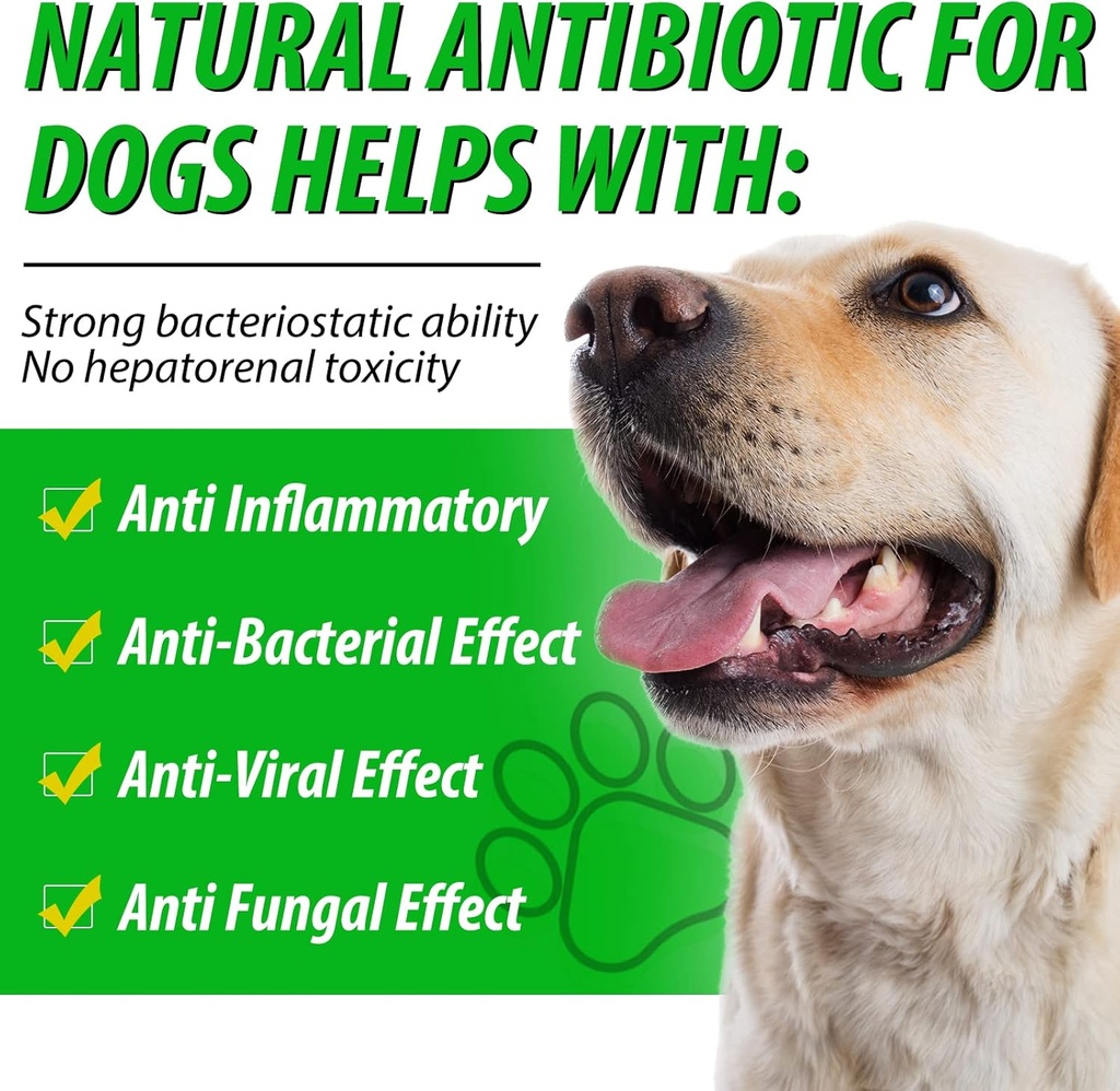 antibiotics-for-dogs-natural-dog-antibio-6.jpg
