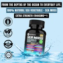 sea-moss-with-black-seed-oil-vitamin-c-a-2.jpg