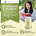 mushroom-almaneac-nootropics-brain-suppo-3.jpg