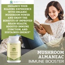 mushroom-almaneac-nootropics-brain-suppo-5.jpg