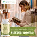 mushroom-almaneac-nootropics-brain-suppo-6.jpg