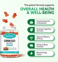 2-pack-ginkgo-biloba-gummies-for-women-a-3.jpg