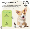 forever-puppy-astragalus-root-drops-for--6.jpg