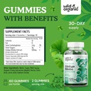wild-organic-ginkgo-biloba-gummies-ginse-4.jpg