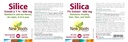 new-roots-herbal-silica-7-extract-600mg--5.jpg