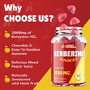 2000mg-berberine-supplement-gummies-high-2.jpg