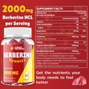 2000mg-berberine-supplement-gummies-high-3.jpg