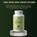 kidney-support-herbal-supplement---suppo-4.jpg