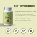 kidney-support-herbal-supplement---suppo-6.jpg