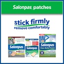 salonpas-pain-relieving-patch-for-back-n-6.jpg