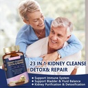 kidney-cleanse-detox-repair-advanced-kid-5.jpg
