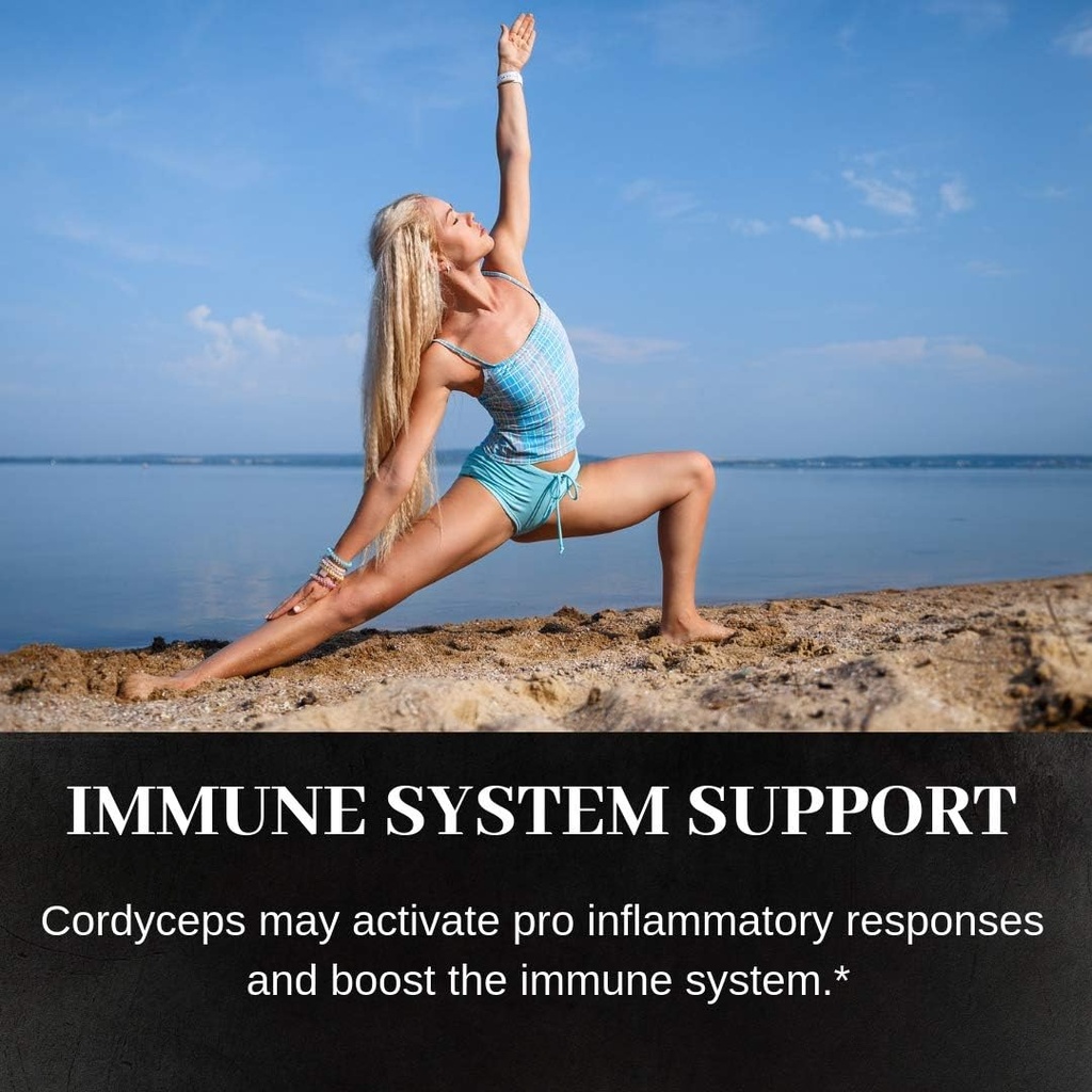 cordyceps-mushroom-60-capsules-500mg-eac-6.jpg