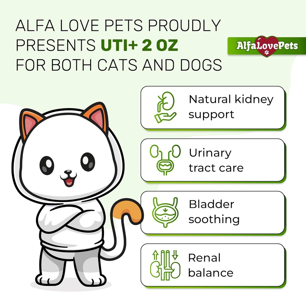 cat-uti-treatment-to-care-for-kidneys-an-2.jpg