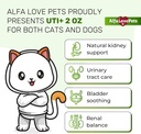 cat-uti-treatment-to-care-for-kidneys-an-2.jpg