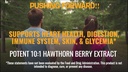 natures-push-super-potent-hawthorn-berry-4.jpg