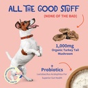 turkey-tail-mushroom-probiotics-for-dogs-4.jpg