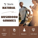 mushroom-complex-gummies-supplements-12--4.jpg