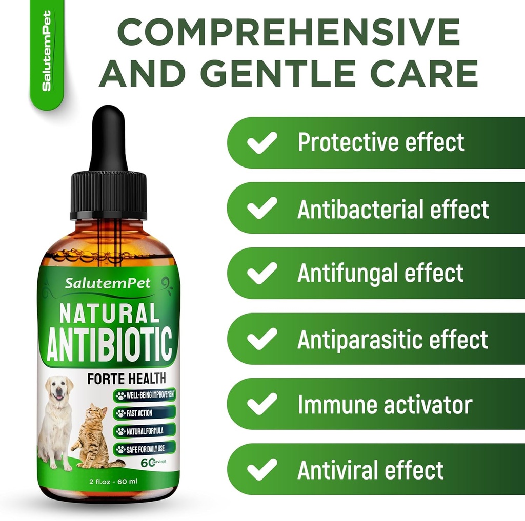 natural-antibiotics-for-dogs-to-help-wit-2.jpg