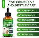 natural-antibiotics-for-dogs-to-help-wit-2.jpg