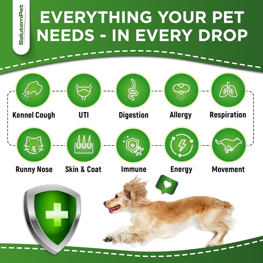 natural-antibiotics-for-dogs-to-help-wit-3.jpg