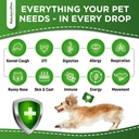 natural-antibiotics-for-dogs-to-help-wit-3.jpg