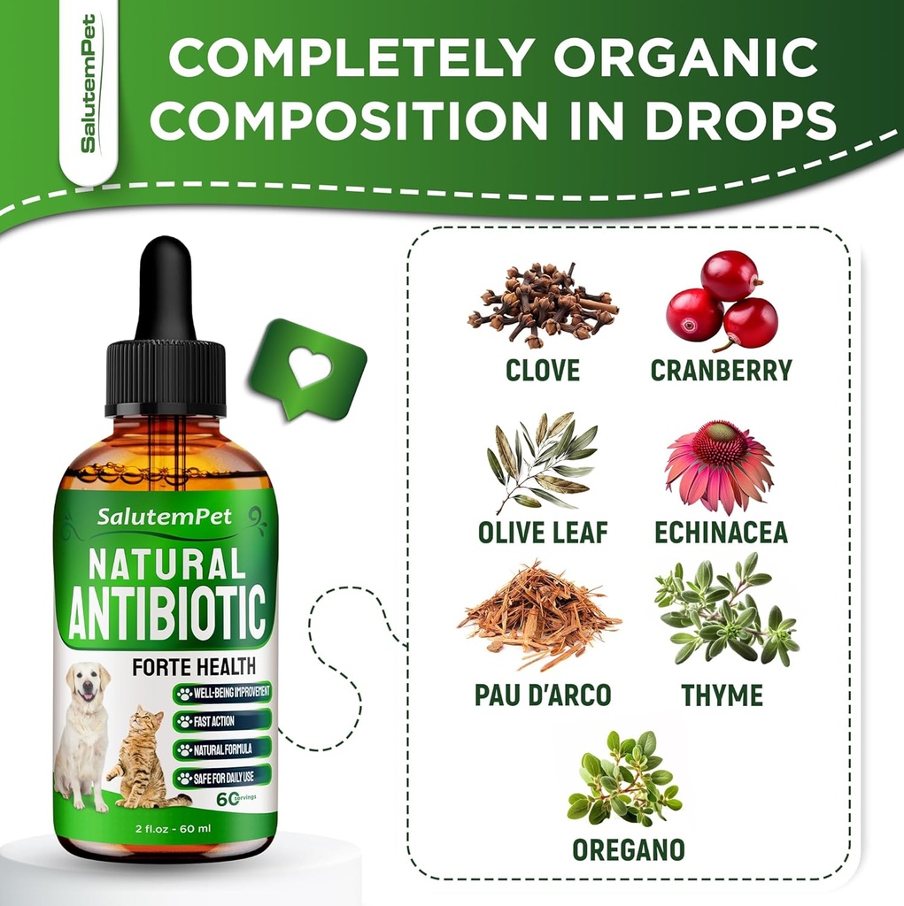natural-antibiotics-for-dogs-to-help-wit-4.jpg