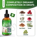 natural-antibiotics-for-dogs-to-help-wit-4.jpg