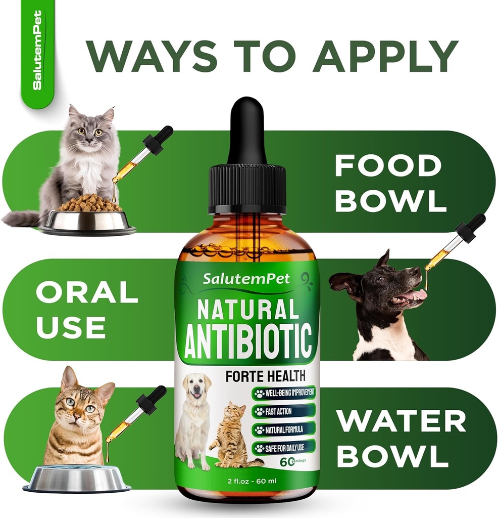 natural-antibiotics-for-dogs-to-help-wit-6.jpg