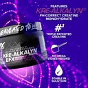 efx-sports-kre-alkalyn-efx-powder-ph-cor-6.jpg