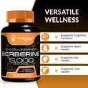 wellness-labsrx-berberine-15000mg---thir-3.jpg