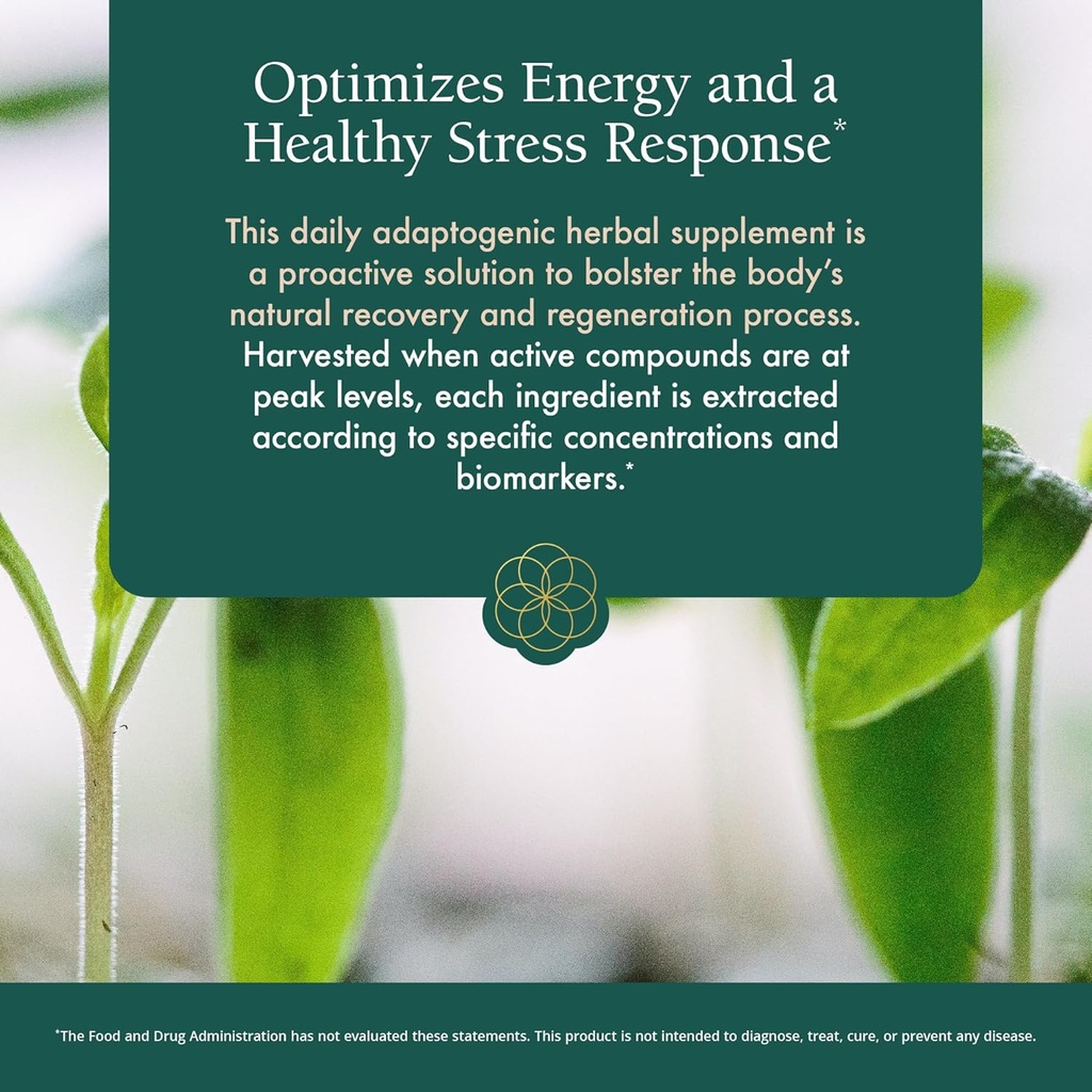 natura-health-products-power-adapt-suppl-5.jpg