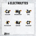 zeal-electrolyte-powder---90-servings-ke-5.jpg