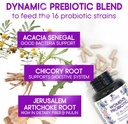 probiotics-for-womens-digestive-health---5.jpg
