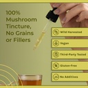 naturealm-reishi-mushroom-liquid-tinctur-5.jpg