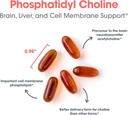allergy-research-group-phosphatidyl-chol-5.jpg