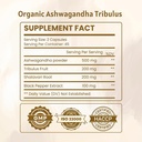 ashwagandha-capsules-organic-1000mg-90-c-2.jpg