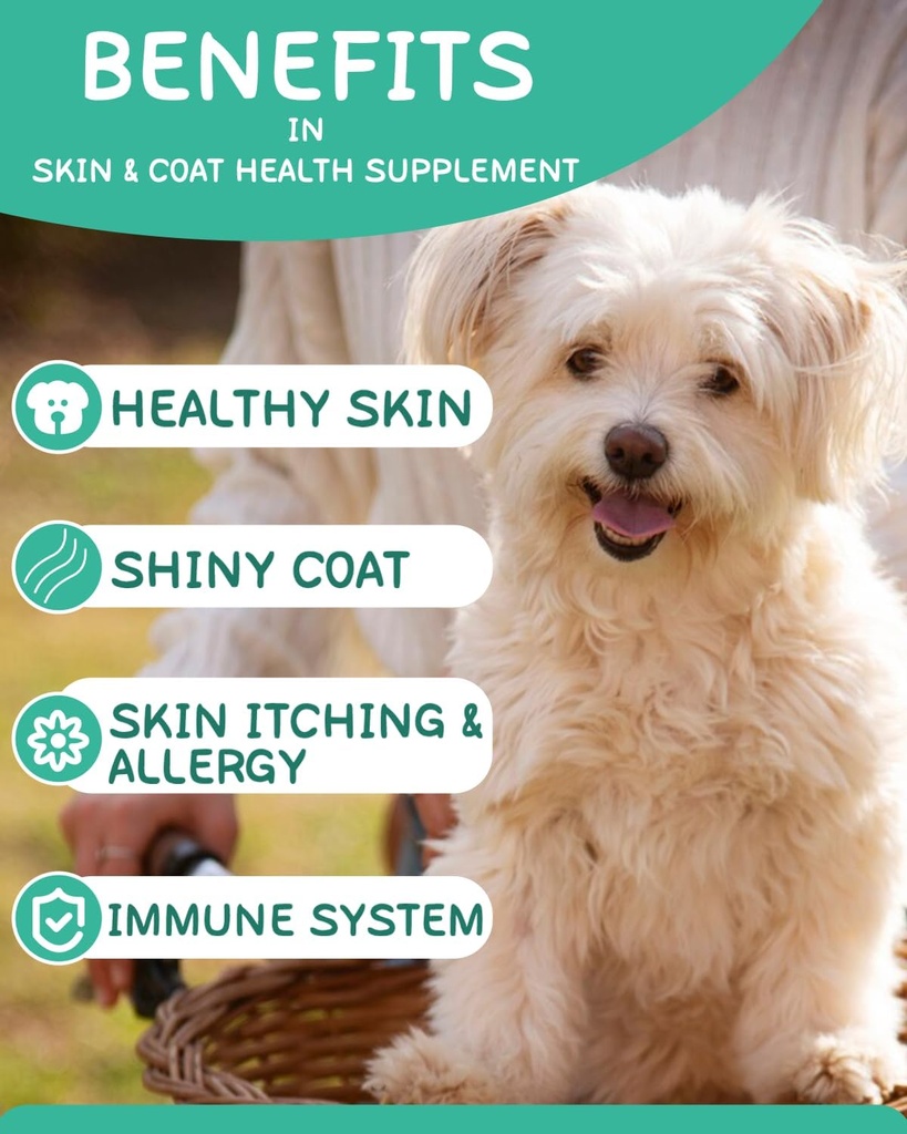 omega-3-for-dogs---dog-skin-and-coat-sup-2.jpg