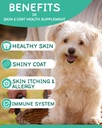 omega-3-for-dogs---dog-skin-and-coat-sup-2.jpg