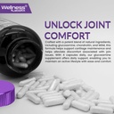 wellness-labsrx-glucosamine-chondroitin--5.jpg