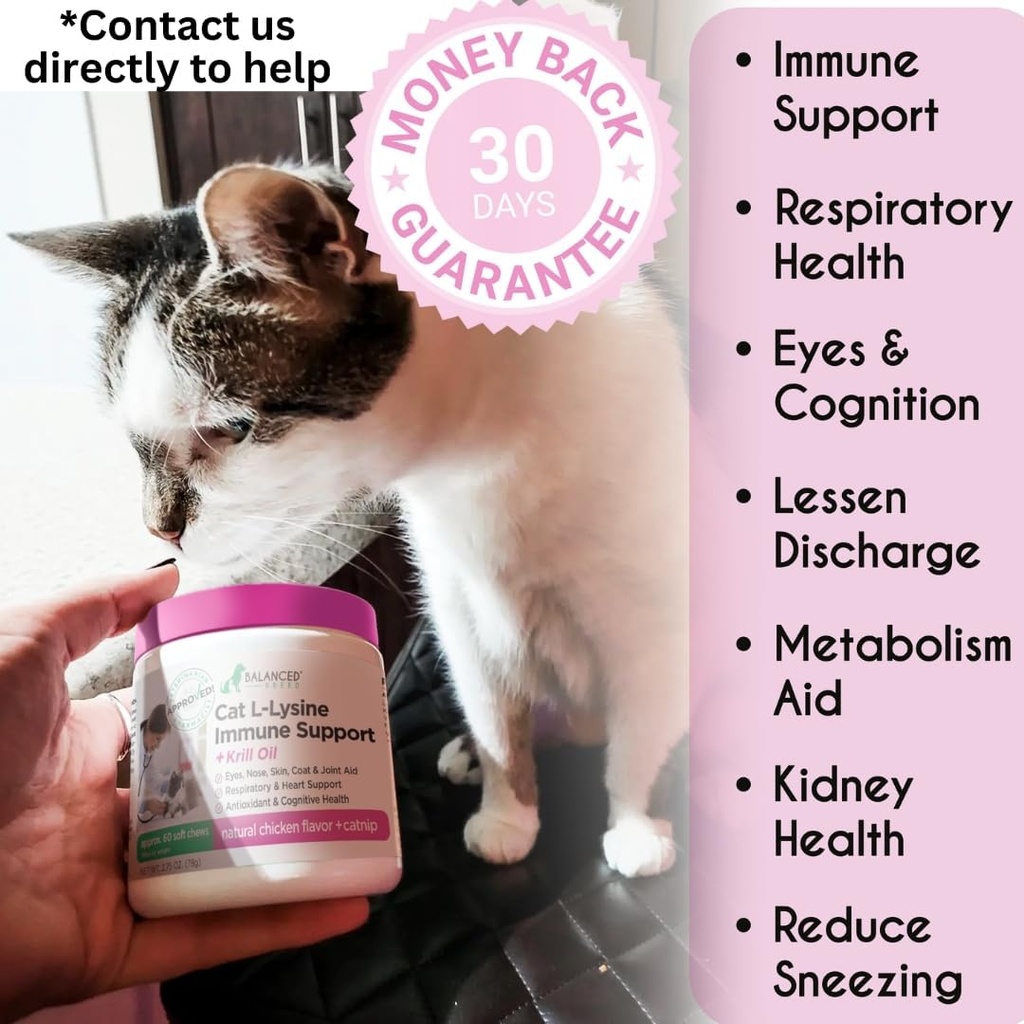 balanced-breed-l-lysine-cats-immune-supp-2.jpg